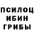 Псилоцибиновые грибы GOLDEN TEACHER Rei Ayanamy