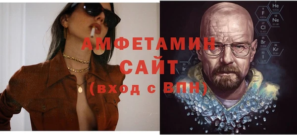 молекула духа Снежногорск