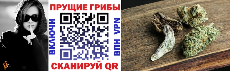 купить закладку  Окуловка  Галлюциногенные грибы ЛСД 