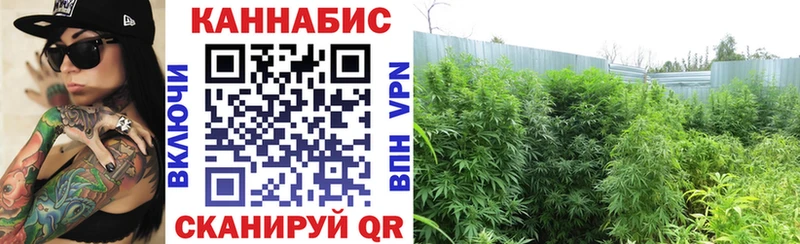 сколько стоит  Окуловка  Конопля план 